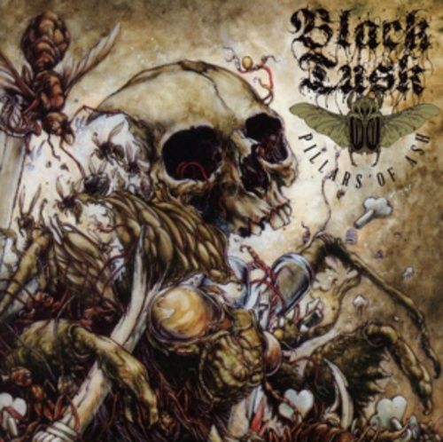 Produktbild: Pillars of Ash
