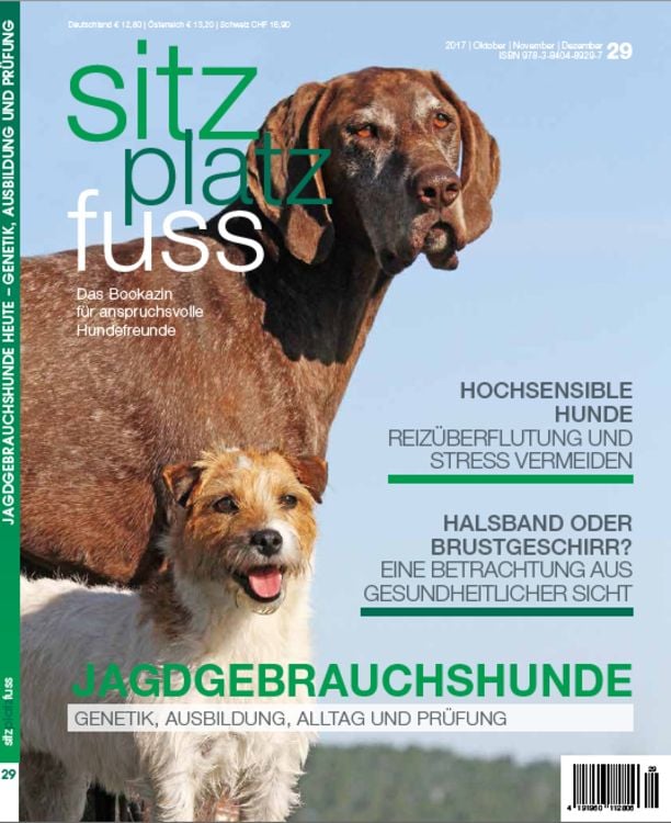 Produktbild: SitzPlatzFuss, Ausgabe 29