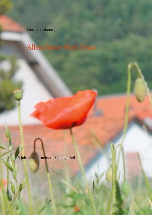 Produktbild: Allein hinter Paris Texas