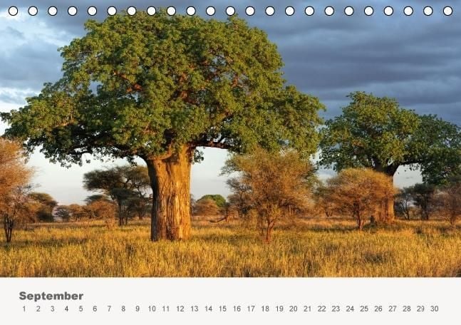 Produktbild: Faszination Ostafrika - Tierwelt und Natur aus Kenia und Tansania (Tischkalender immerw&auml;hrend DIN A5 quer)