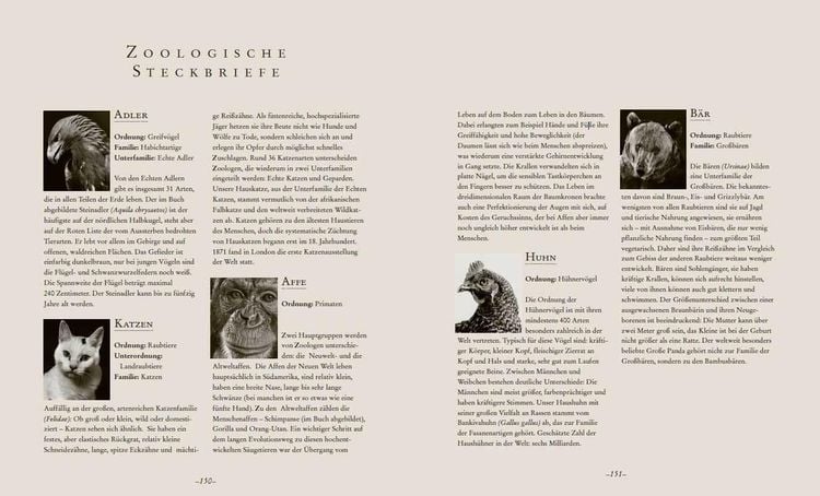 Die Seele der Tiere. Gesichter. Gefühle. Geschichten