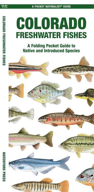 Produktbild: Colorado Freshwater Fishes