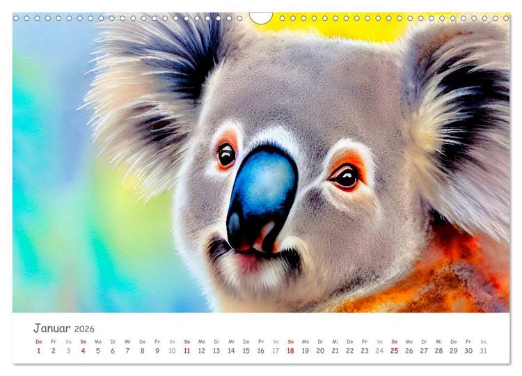 Produktbild: Der Koala 2026. Aschgrauer Beutelb&auml;r (Wandkalender 2026 DIN A3 quer), CALVENDO Monatskalender