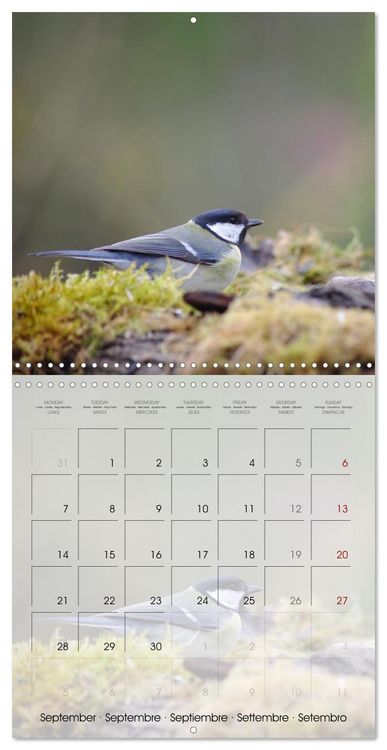 Produktbild: Le jardin des m&eacute;sanges (Calendrier mural carr&eacute; 2026 30x30 cm) Calendrier double avec une page pour vos prises de notes