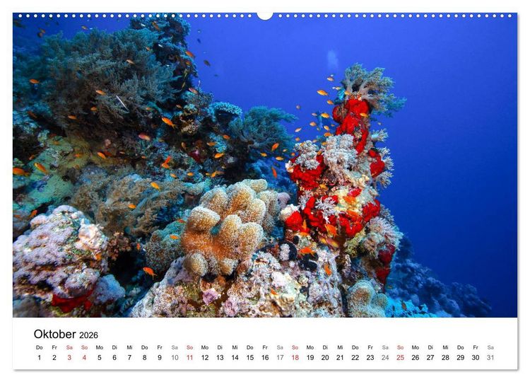 Produktbild: Highlights aus dem Meer - Tauchkalender (Wandkalender 2026 DIN A2 quer), CALVENDO Monatskalender