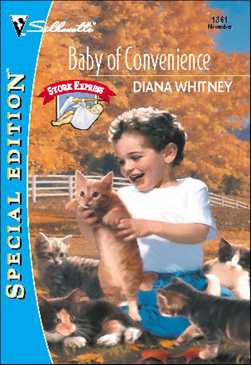 Produktbild: Baby of Convenience