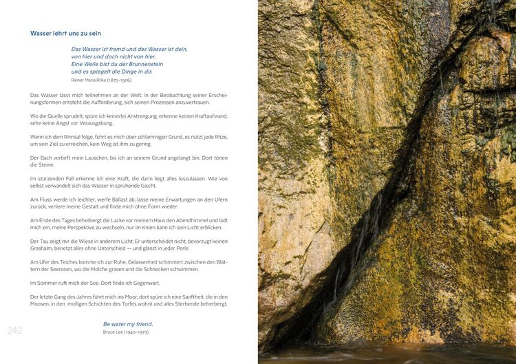 Produktbild: Die Gaben des Wassers