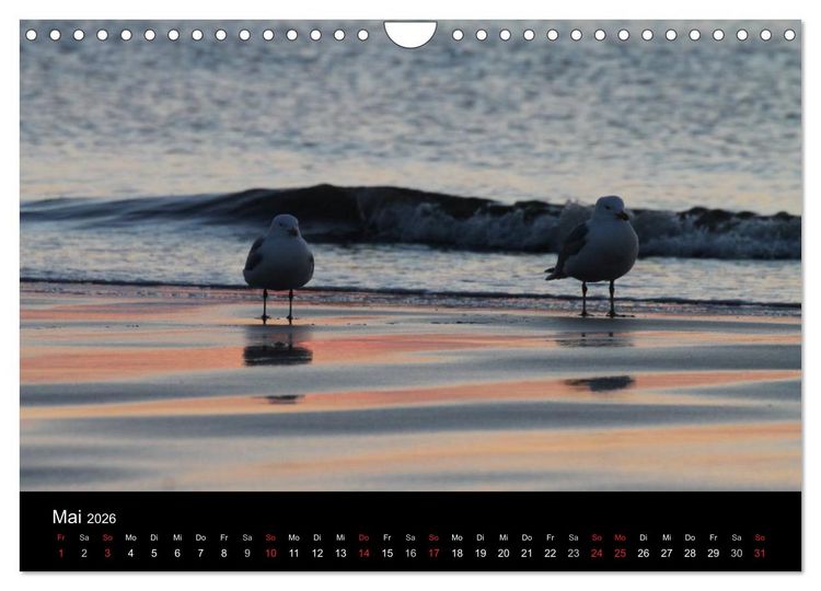 Produktbild: Sylt 2026 (Wandkalender 2026 DIN A4 quer), CALVENDO Monatskalender