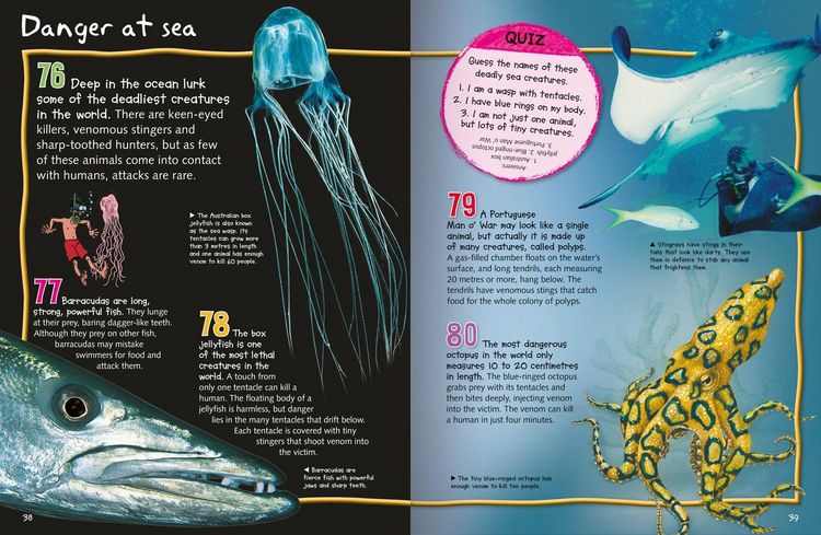 Produktbild: Deadly Creatures_100 Facts Pb