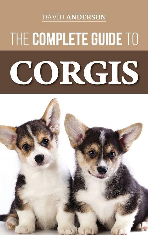 Produktbild: The Complete Guide to Corgis