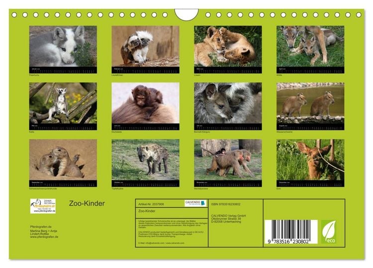 Produktbild: Zoo-Kinder (Wandkalender 2026 DIN A4 quer), CALVENDO Monatskalender