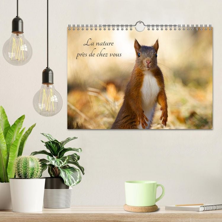 Produktbild: La nature pr&egrave;s de chez vous (Calendrier mural 2026 DIN A4 vertical), CALVENDO calendrier mensuel