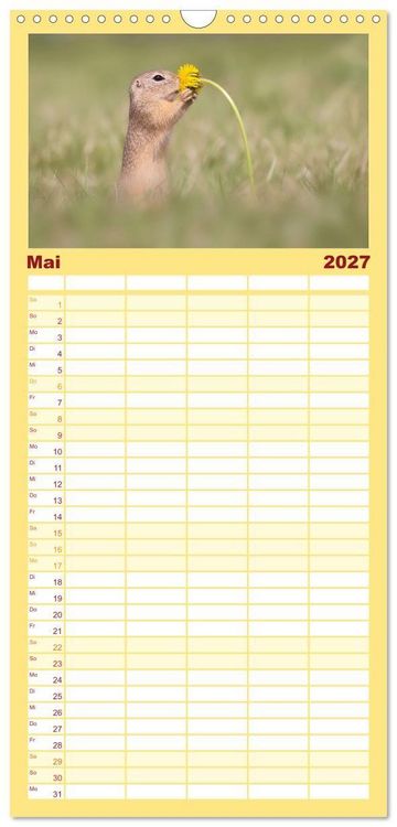 Produktbild: Familienplaner 2027 - Zauberhafte Ziesel mit 5 Spalten (Wandkalender, 21 x 45 cm) CALVENDO