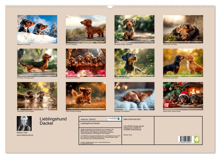 Produktbild: Lieblingshund Dackel (Wandkalender 2027 DIN A2 quer), CALVENDO Monatskalender