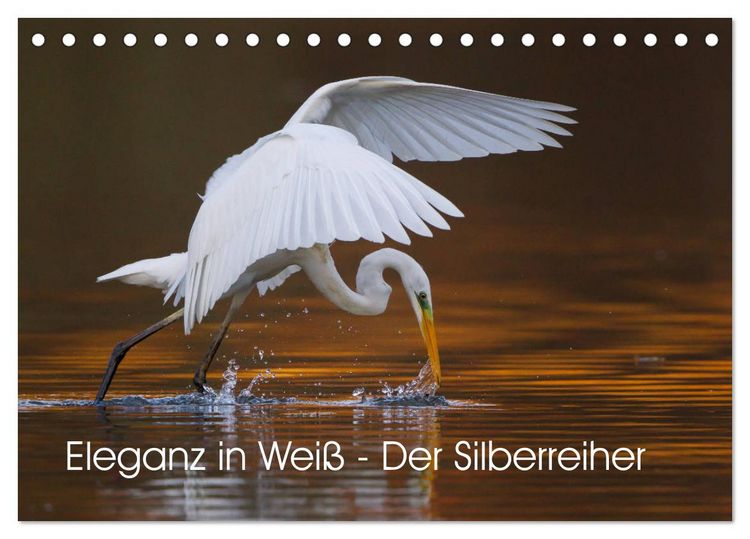 Produktbild: Eleganz in Wei&szlig; - Der Silberreiher (Tischkalender 2026 DIN A5 quer), CALVENDO Monatskalender