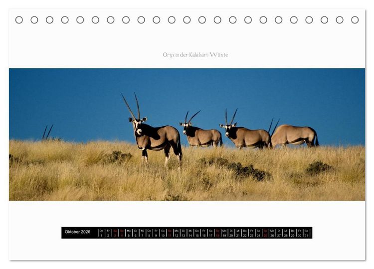 Produktbild: Namibia - Panoramen (Tischkalender 2026 DIN A5 quer), CALVENDO Monatskalender