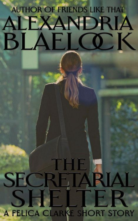 Produktbild: The Secretarial Shelter