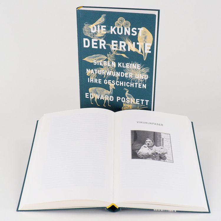 Produktbild: Die Kunst der Ernte