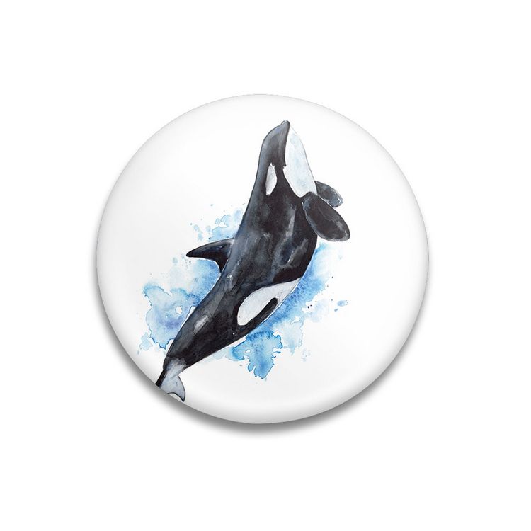 Produktbild: Dekomagnet Orca Splash