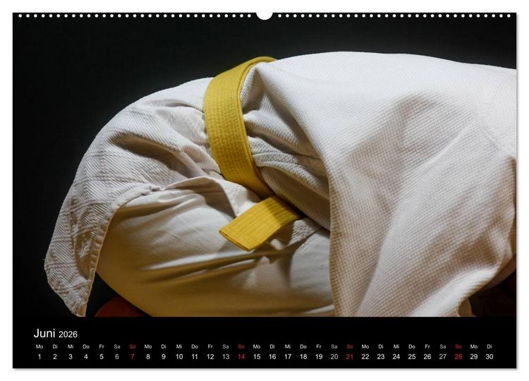 Produktbild: Kampfsport (hochwertiger Premium Wandkalender 2026 DIN A2 quer), Kunstdruck in Hochglanz