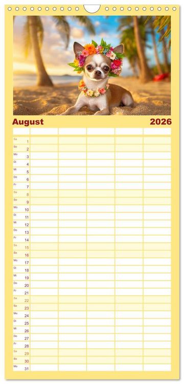Produktbild: Familienplaner 2026 - Chillige Chihuahuas - Entspannte Fellnasen genie&szlig;en das Leben mit 5 Spalten (Wandkalender, 21 x 45 cm) CALVENDO