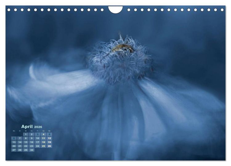 Produktbild: Zauberhafte Bl&uuml;ten (Wandkalender 2026 DIN A4 quer), CALVENDO Monatskalender