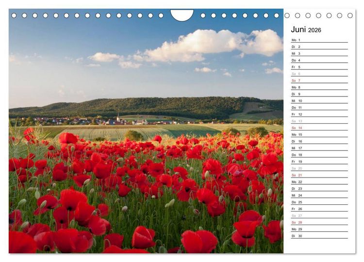 Produktbild: DER STEIGERWALD - Impressionen einer Landschaft (Wandkalender 2026 DIN A4 quer), CALVENDO Monatskalender