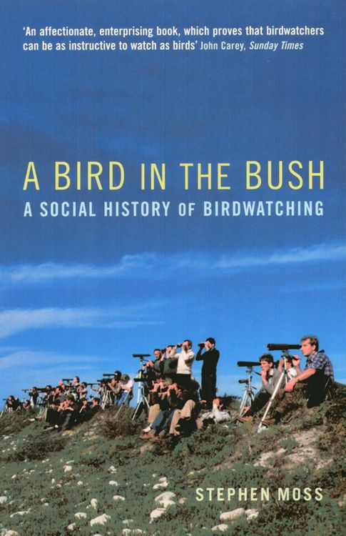 Produktbild: A Bird in the Bush