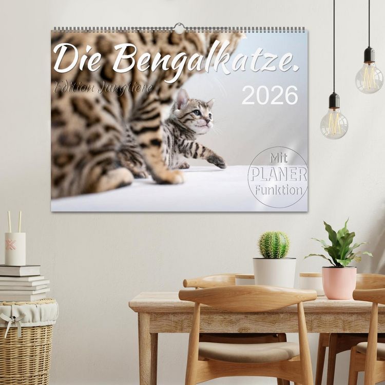 Produktbild: Die Bengalkatze. Edition Jungtiere (Wandkalender 2026 DIN A2 quer), CALVENDO Monatskalender