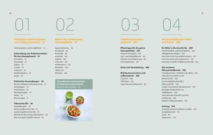 Produktbild: 10 Kr&auml;uter gegen 100 Krankheiten
