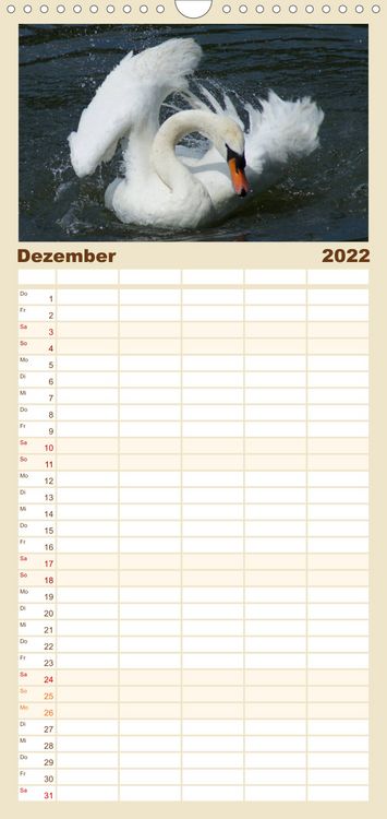 Produktbild: Das faszinierende Leben der Schw&auml;ne - Familienplaner hoch (Wandkalender 2022 , 21 cm x 45 cm, hoch)