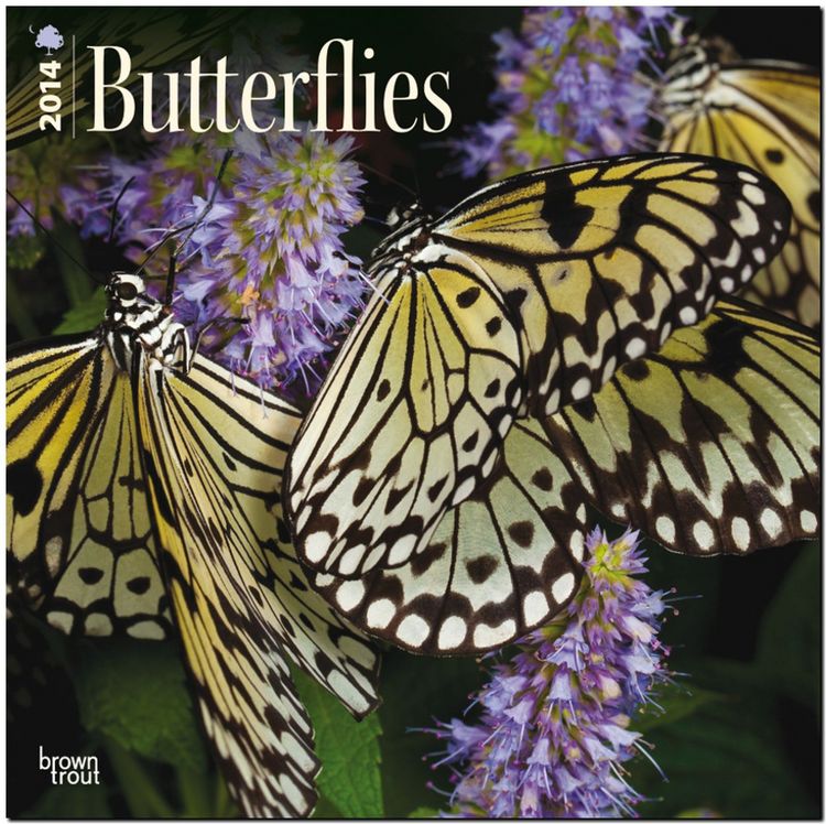 Produktbild: Butterflies
