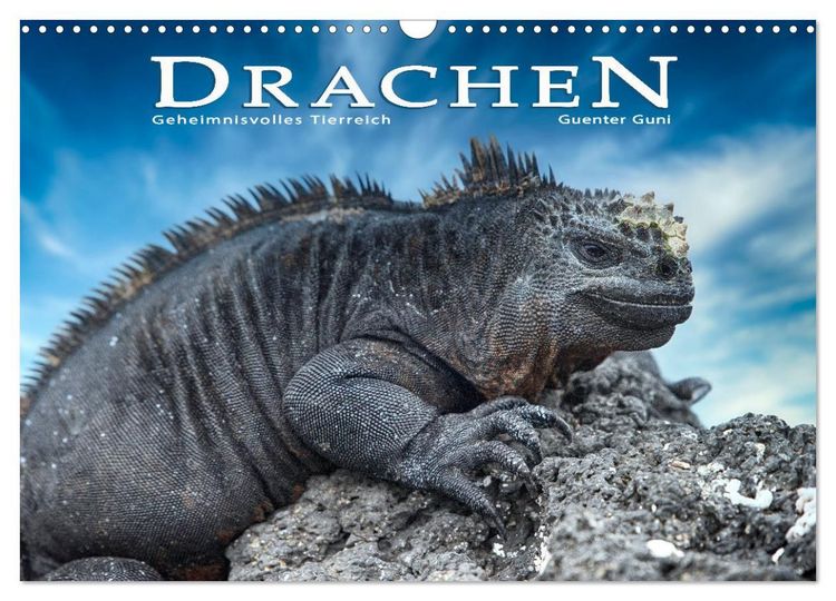 Produktbild: Drachen: Geheimnisvolles Tierreich (Wandkalender 2027 DIN A3 quer), CALVENDO Monatskalender