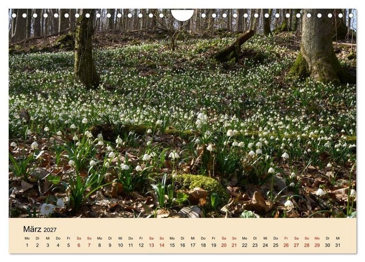 Produktbild: Franken - eine Region voller Naturwunder (Wandkalender 2027 DIN A4 quer), CALVENDO Monatskalender