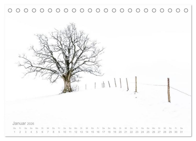 Produktbild: Astrein! - Der Baumkalender 2026 (Tischkalender 2026 DIN A5 quer), CALVENDO Monatskalender