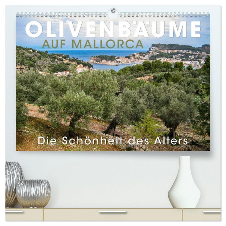 thuja kugelbaum kaufen Kugel Lebensbaum Thuja occidentalis…