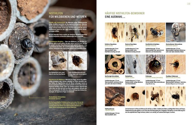 Produktbild: Wildbienenhelfer