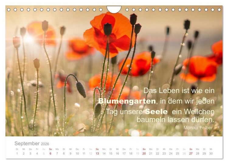 Produktbild: Zauberhafte Spr&uuml;che - Bunte Seelenbl&uuml;ten (Wandkalender 2026 DIN A4 quer), CALVENDO Monatskalender