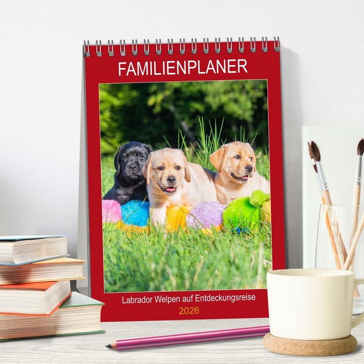 Produktbild: Familienplaner - Labrador Welpen entdecken die Welt (Tischkalender 2026 DIN A5 hoch), CALVENDO Monatskalender
