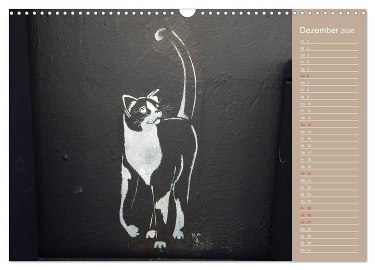 Produktbild: Flensburger Katzen (Wandkalender 2026 DIN A3 quer), CALVENDO Monatskalender