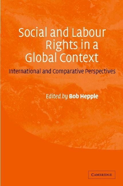 Produktbild: Social and Labour Rights in a Global Context