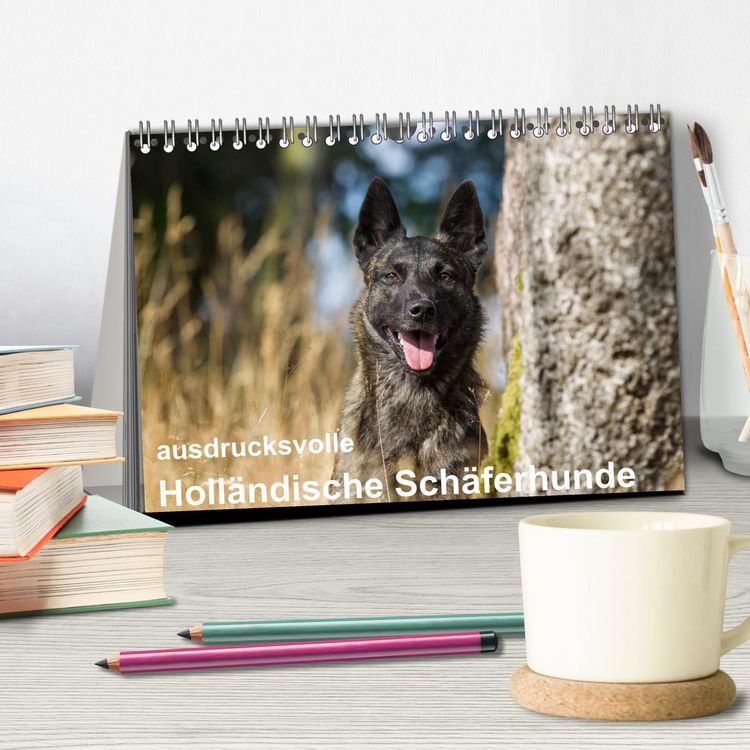 Produktbild: ausdrucksvolle Holl&auml;ndische Sch&auml;ferhunde (Tischkalender 2027 DIN A5 quer), CALVENDO Monatskalender