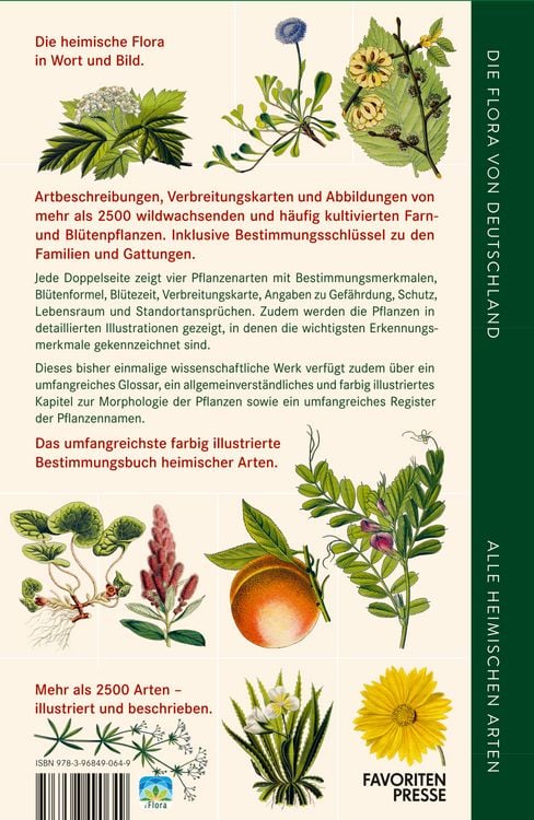 Die Flora von Deutschland. Alle heimischen Arten" online kaufen