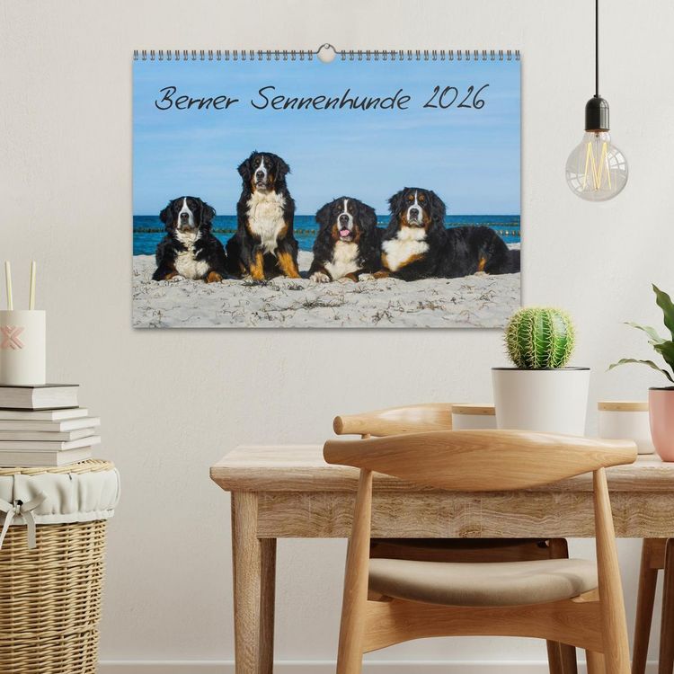 Produktbild: Berner Sennenhund 2026 (Wandkalender 2026 DIN A3 quer), CALVENDO Monatskalender