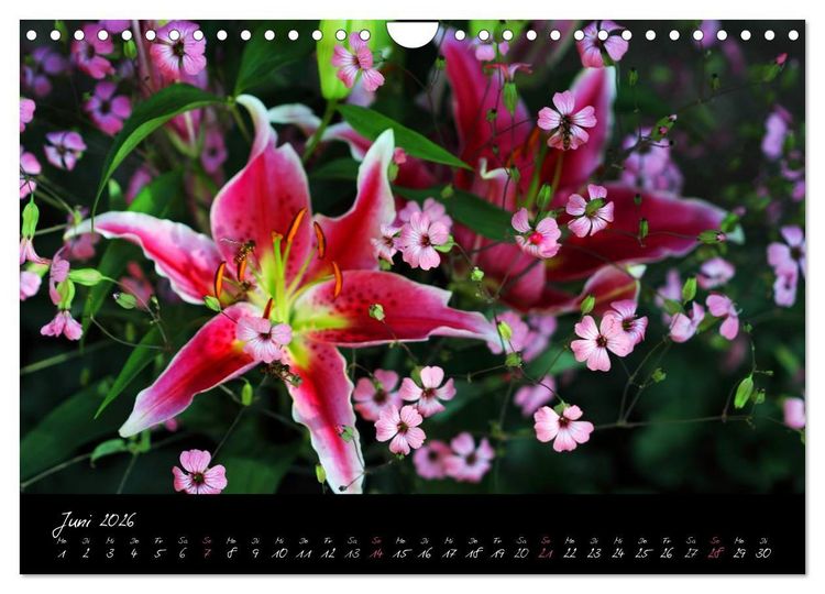 Produktbild: Florales Sonett - Visuelle Musik der Blumen (Wandkalender 2026 DIN A4 quer), CALVENDO Monatskalender