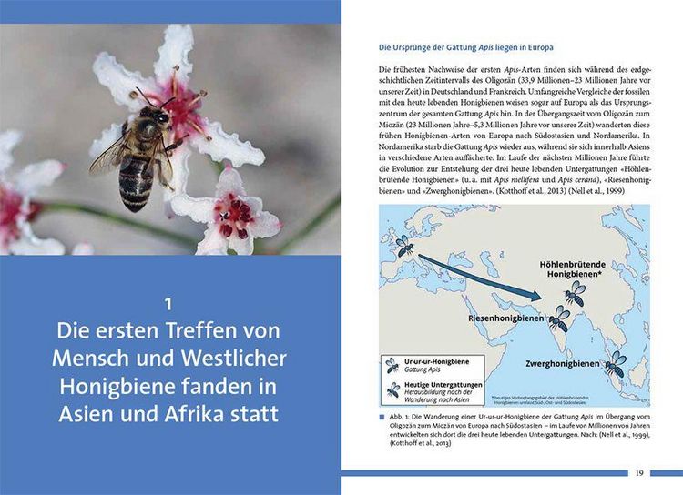 Produktbild: Nachhaltig Imkern mit gesunden Honigbienen