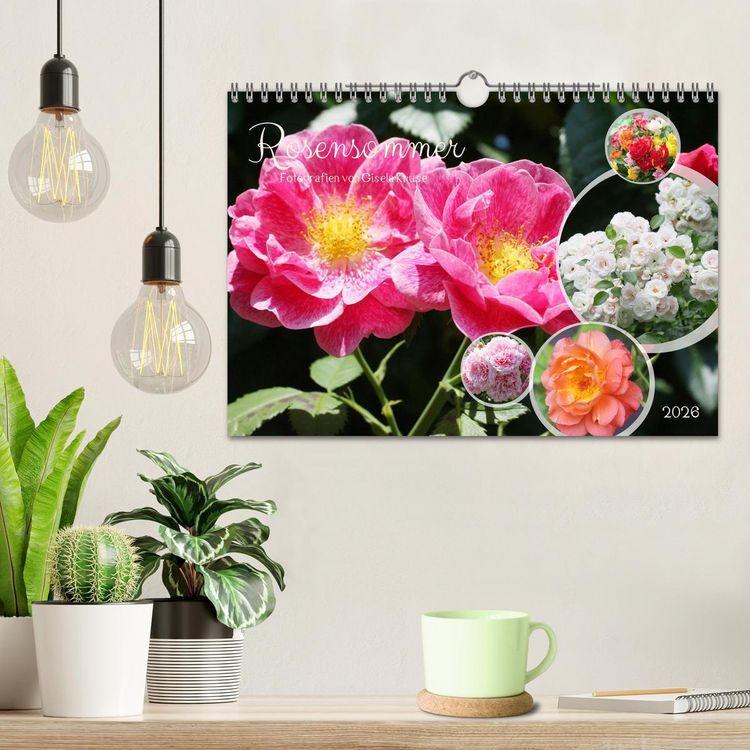 Produktbild: Rosensommer (Wandkalender 2026 DIN A4 quer), CALVENDO Monatskalender