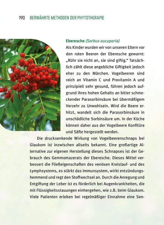 Produktbild: Heile Deine Augen