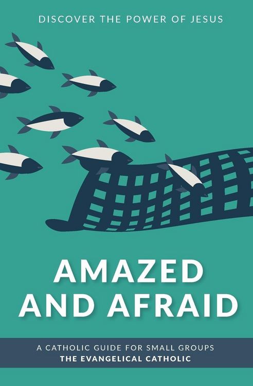 Produktbild: Amazed and Afraid