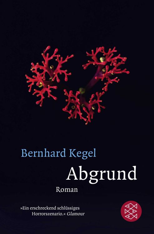 Produktbild: Abgrund